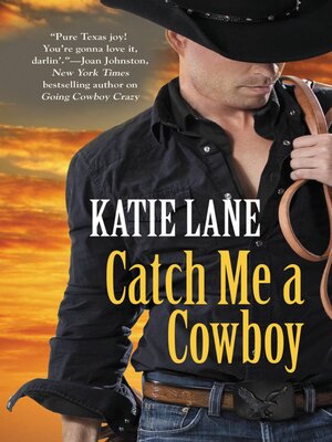 Catch Me a Cowboy - ebook
